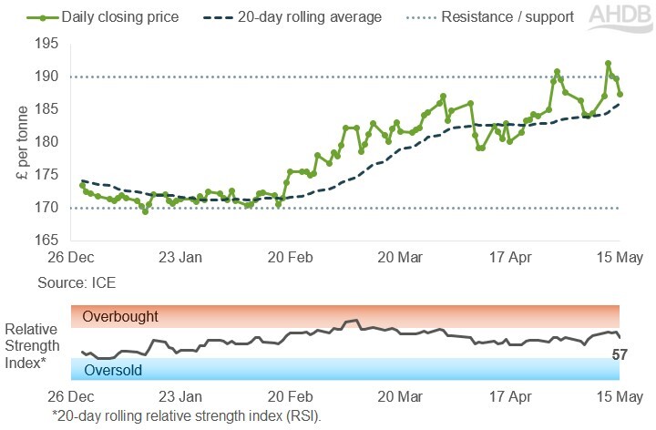 Line graph of UK feed futures Nov-26 contract prices over the past six months.